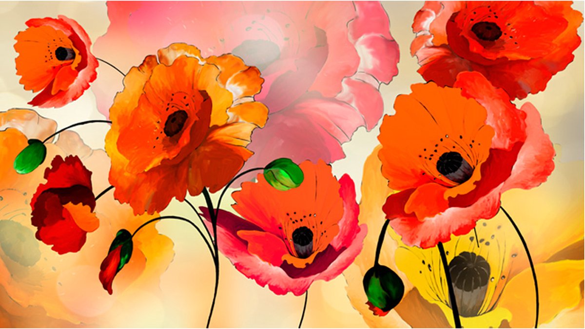 Fotobehang XXL - Velvet poppies.