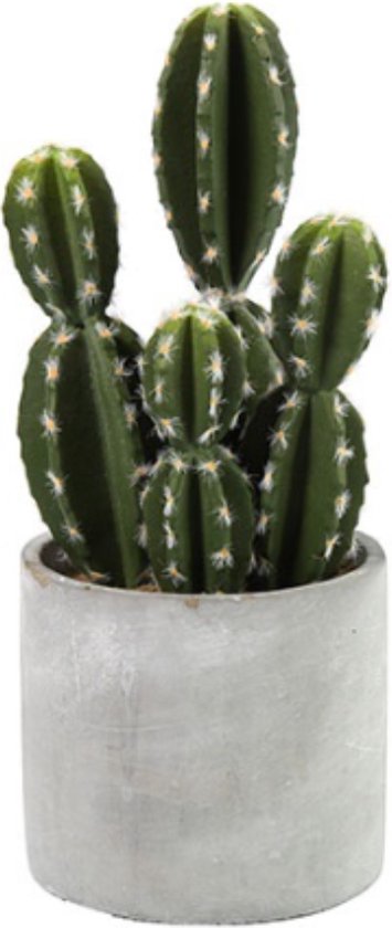 Everplant Kunst Cactus Groen 29 cm - Kunstplanten - Kunstplant Voor Binnen - Nep planten