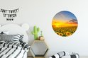 PDP.ProductImage.Thumb.Image.srtText 12