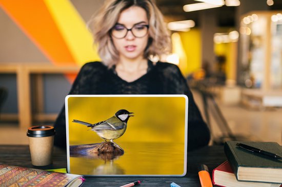 Laptop sticker - 10.1 inch - Koolmees - Vogel - Water - 25x18cm - Laptopstickers - Laptop skin - Cover