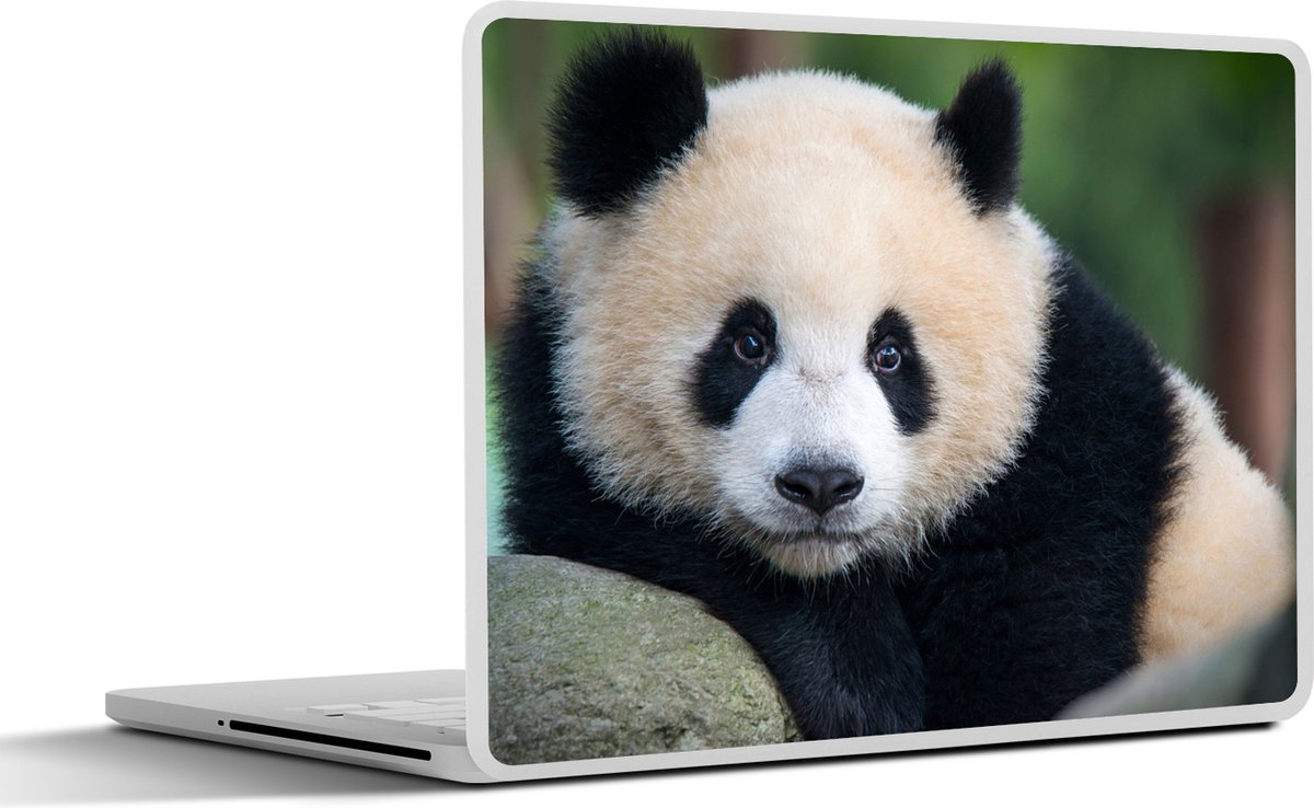 Laptop sticker - 11.6 inch - Panda - Wilde dieren - Portret - Steen - 30x21cm - Laptopstickers - Laptop skin - Cover