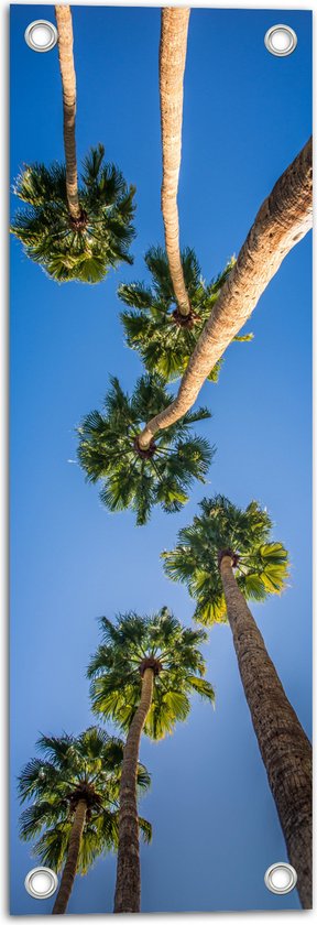 WallClassics - Tuinposter – Onderaanzicht van Palmbomen - 20x60 cm Foto op Tuinposter  (wanddecoratie voor buiten en binnen)