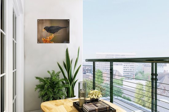 Décoration de Jardin Vogel - Merle - Hiver - Glace - Baie - 40x30 cm - Toile de jardin - Poster extérieur