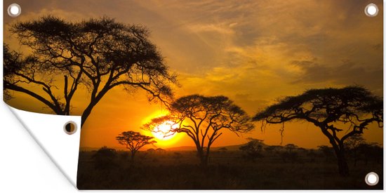 Zonsondergang in de Serengeti Tuinposter 60x40 cm - Foto op Tuinposter (tuin decoratie)