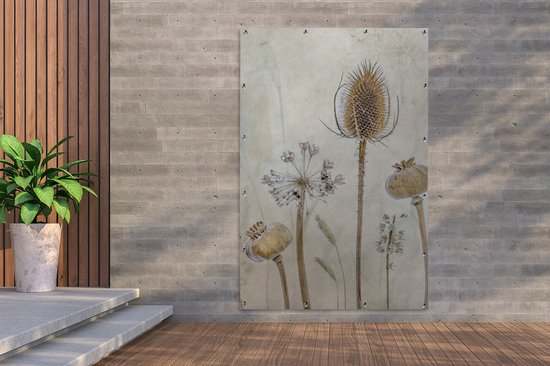 Tuinposter met bruine, vintage stilleven van gedroogde bloemen: distel, klaprozen en papaver, hangend aan een betonnen muur.