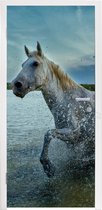 Deursticker Paard - Water - Druppel - 90x205 cm - Deurposter