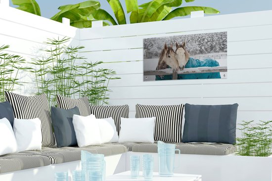Poster de jardin Paarden - Couverture - Neige - 60x30 cm - Toile de jardin - Poster extérieur