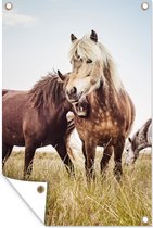 Muurdecoratie Paarden - Gras - Lente - 120x180 cm - Tuinposter - Tuindoek - Buitenposter