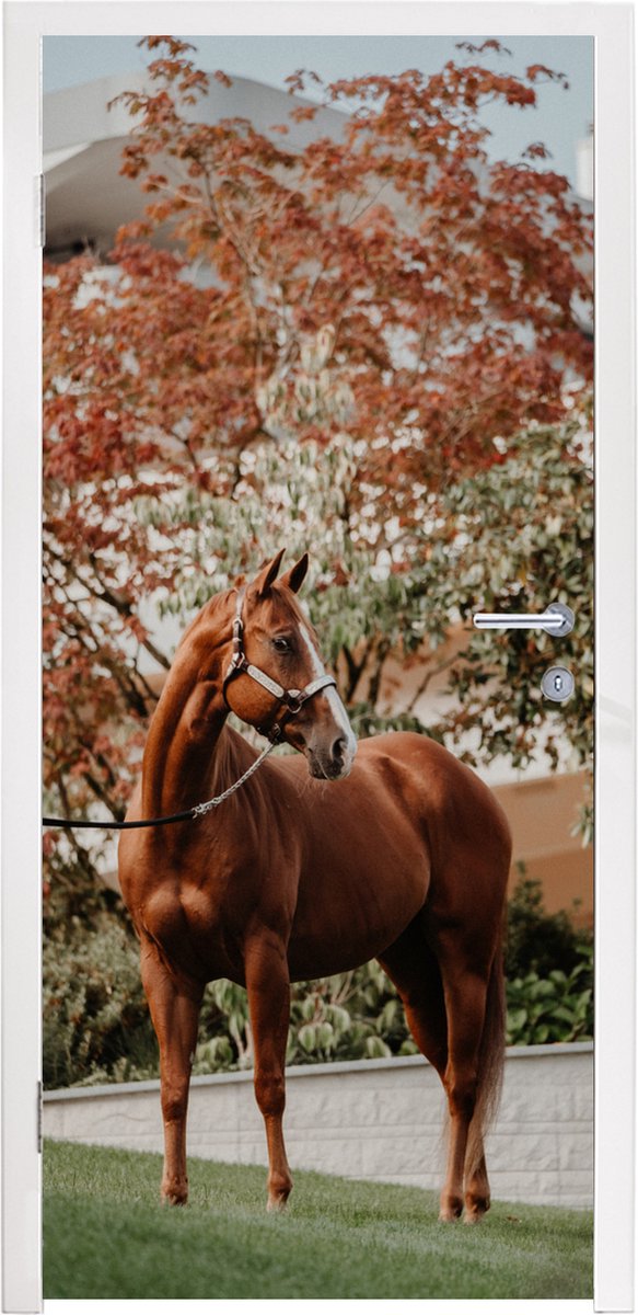 Deurposter 85x205 cm - Deursticker Paard - Boom - Halster - Meubelfolie zelfklevend - Deur
