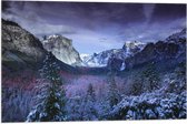 WallClassics - Vlag - Besneeuwde Bergen met Bomen en Rotsen - 75x50 cm Foto op Polyester Vlag