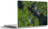 Sticker pour ordinateur portable - 15,6 pouces - Jungle - Arbre - Perroquet