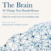 The Brain: 10 Things You Should Know