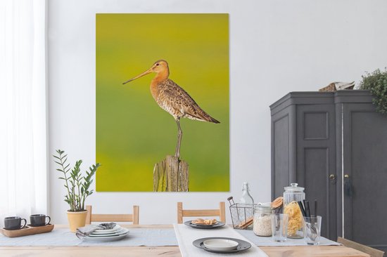 Toile - Tableau - Vogel - Animaux - Barge à queue noire - Perche - Vert - Peintures sur toile - Photo sur toile - 120x160 cm - Décoration murale - Salon