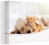 Canvas - Canvas doek - Kat - Hond - Poes - Kitten - Deken - Dieren - Dier - Muurdecoratie - 40x30 cm - Schilderij