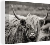 Canvas - Dieren - Schotse hooglander - Koe - Zwart - Wit - Foto op canvas - 40x30 cm - Schilderijen op canvas - Wanddecoratie