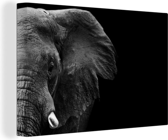 Peinture sur Toile - Animaux Sauvages - Éléphant - Zwart - Wit - Décoration murale - Toile - 60x40 cm - Canvasdoek sur Toile - Salon