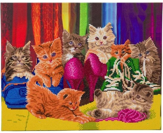 Diamond painting 40 x 50 cm crystal art partial ronde steentjes -  Kitten footware