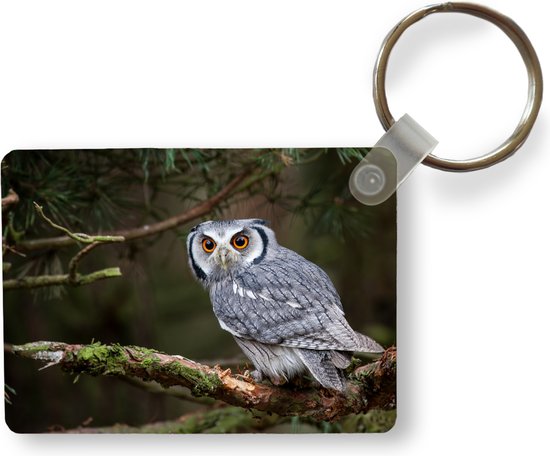 Gratis kleurplaat herfst nieuwsgierige uil met een vergrootglas - Print Nu Gratis kleurplaat herfst nieuwsgierige uil met een vergrootglas - Print Nu