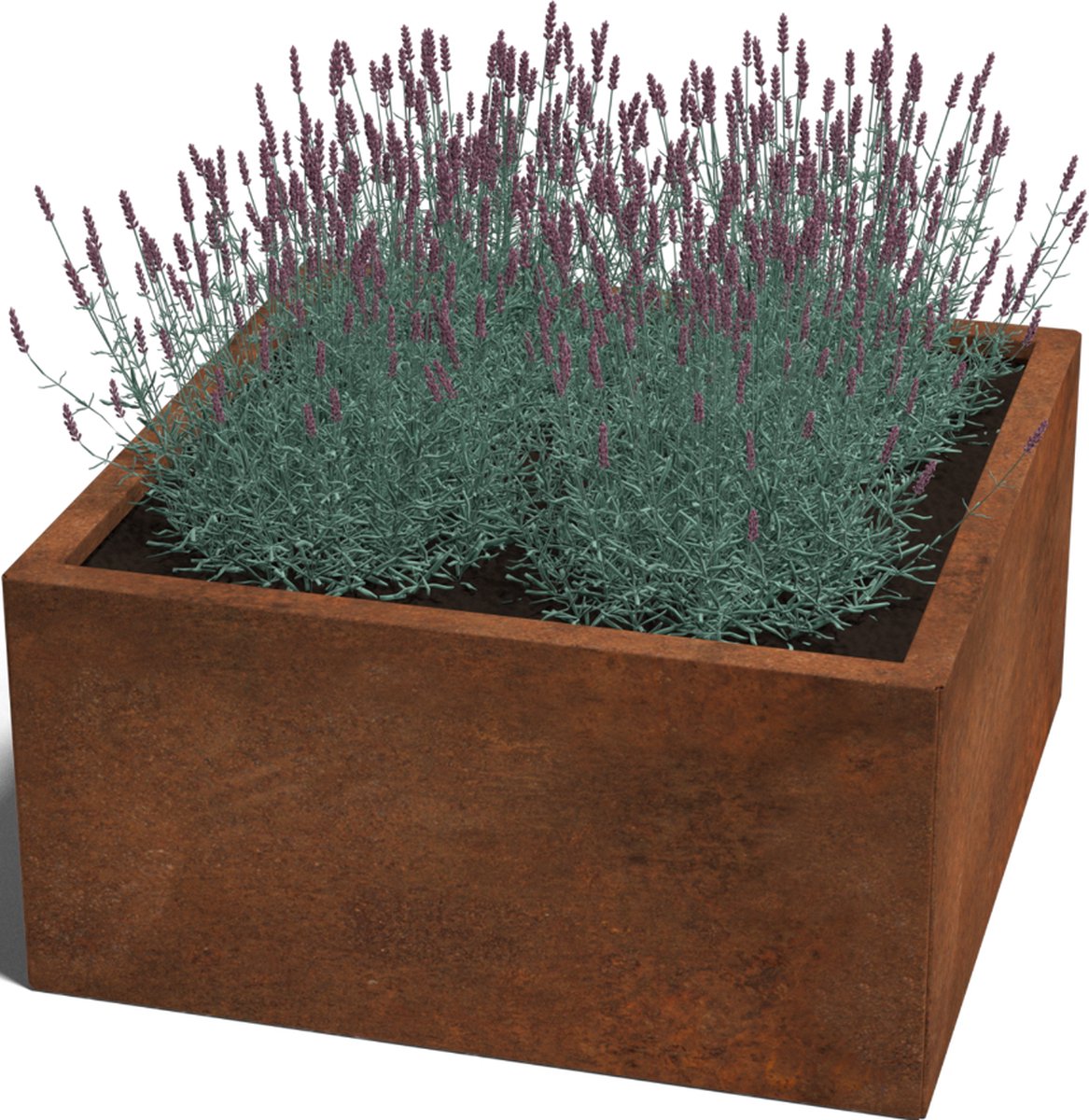 Cortenstaal plantenbak - Vierkant - 80x80x30cm - Roestkleur - Zonder bodem - MySteel