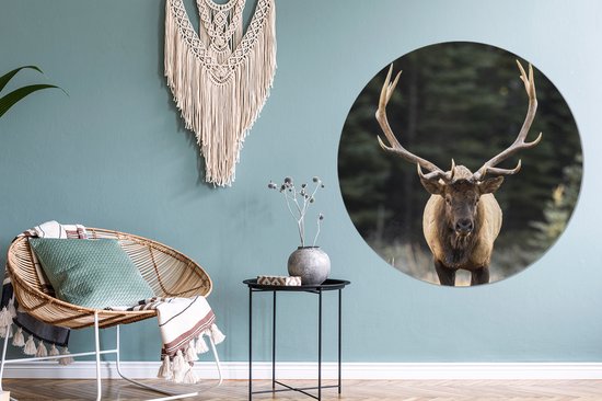 Wallpaper Circle - Cerf - Arbre - Bois - ⌀ 120 cm - Wall Circle - Auto-adhésif - Round Wallpaper Sticker XXL