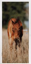 Deursticker Paard - Zon - Landschap - 90x205 cm - Deurposter