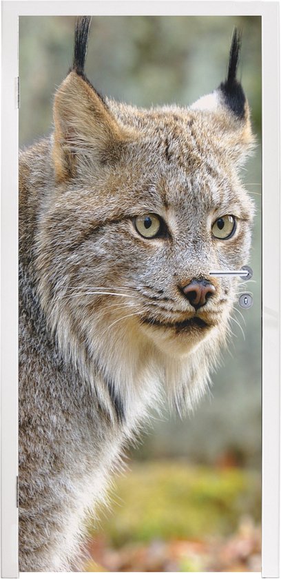 Deurposter 80x205 cm - Deursticker Lynx - Bos - Grijs - Meubelfolie zelfklevend - Deurfolie woonkamer - Interieurfolie fotobehang - Deur plakfolie - Deurstickers - Deurbehang sticker - Kamer decoratie