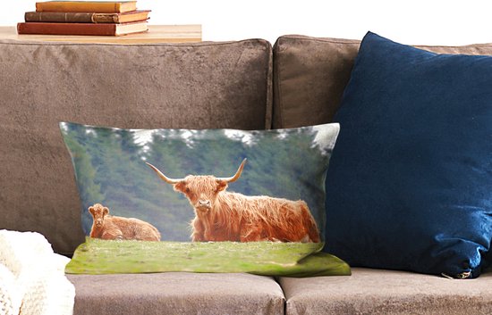 Sierkussen Highlander Cows pour l'intérieur - Highlanders in the grass - 50x30 cm - Coussin intérieur rectangulaire en coton