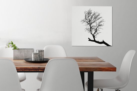 Silhouette d'une branche d'arbre 50x50 cm - Tirage photo sur toile (Décoration murale salon / chambre)
