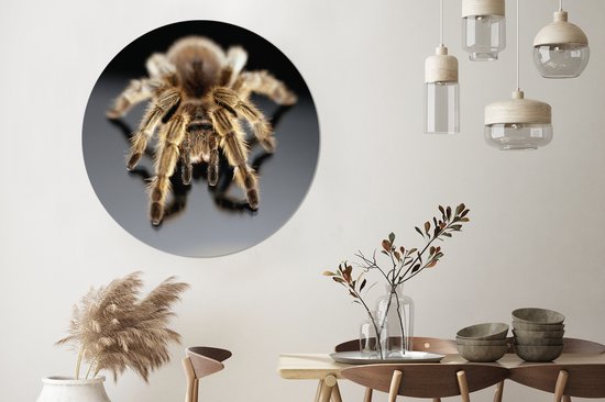 Close-up tarentule Cercle mural aluminium ⌀ 140 cm