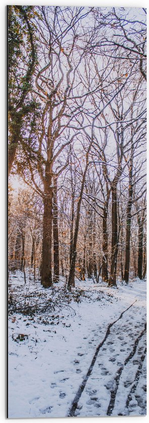WallClassics - Dibond - Kale Bomen in Bos tijdens Winter - 30x90 cm Foto op Aluminium (Wanddecoratie van metaal)