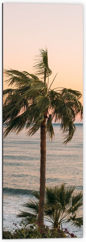 WallClassics - Dibond - Hoge Palmbomen bij Zee - 40x120 cm Foto op Aluminium (Wanddecoratie van metaal)