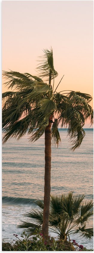 WallClassics - Poster Glanzend – Hoge Palmbomen bij Zee - 30x90 cm Foto op Posterpapier met Glanzende Afwerking