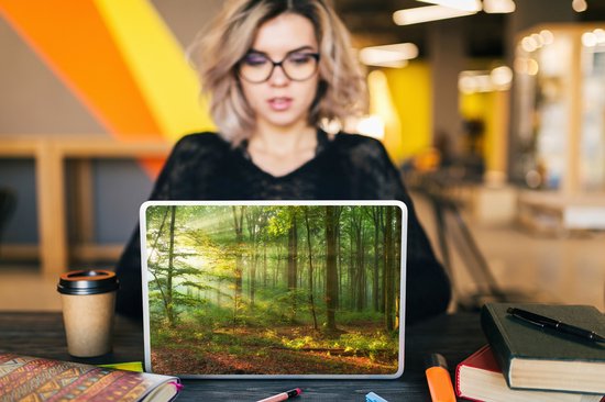 Autocollant pour ordinateur portable - 13,3 pouces - Soleil - Forêt - Arbres - Nature - Automne - 31x22,5 cm - Autocollants pour ordinateur portable - Skin pour ordinateur portable - Housse