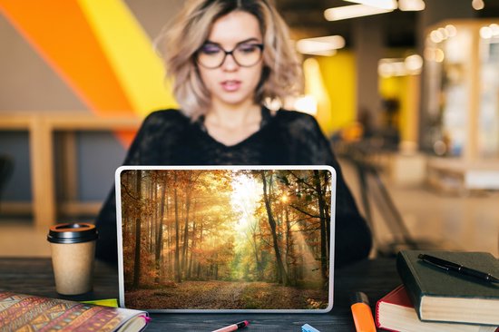 Autocollant pour ordinateur portable - 13,3 pouces - Forêt - Automne - Soleil - Paysage - Nature - Arbres - Feuilles - 31x22,5 cm - Autocollants pour ordinateur portable - Skin pour ordinateur portable - Housse