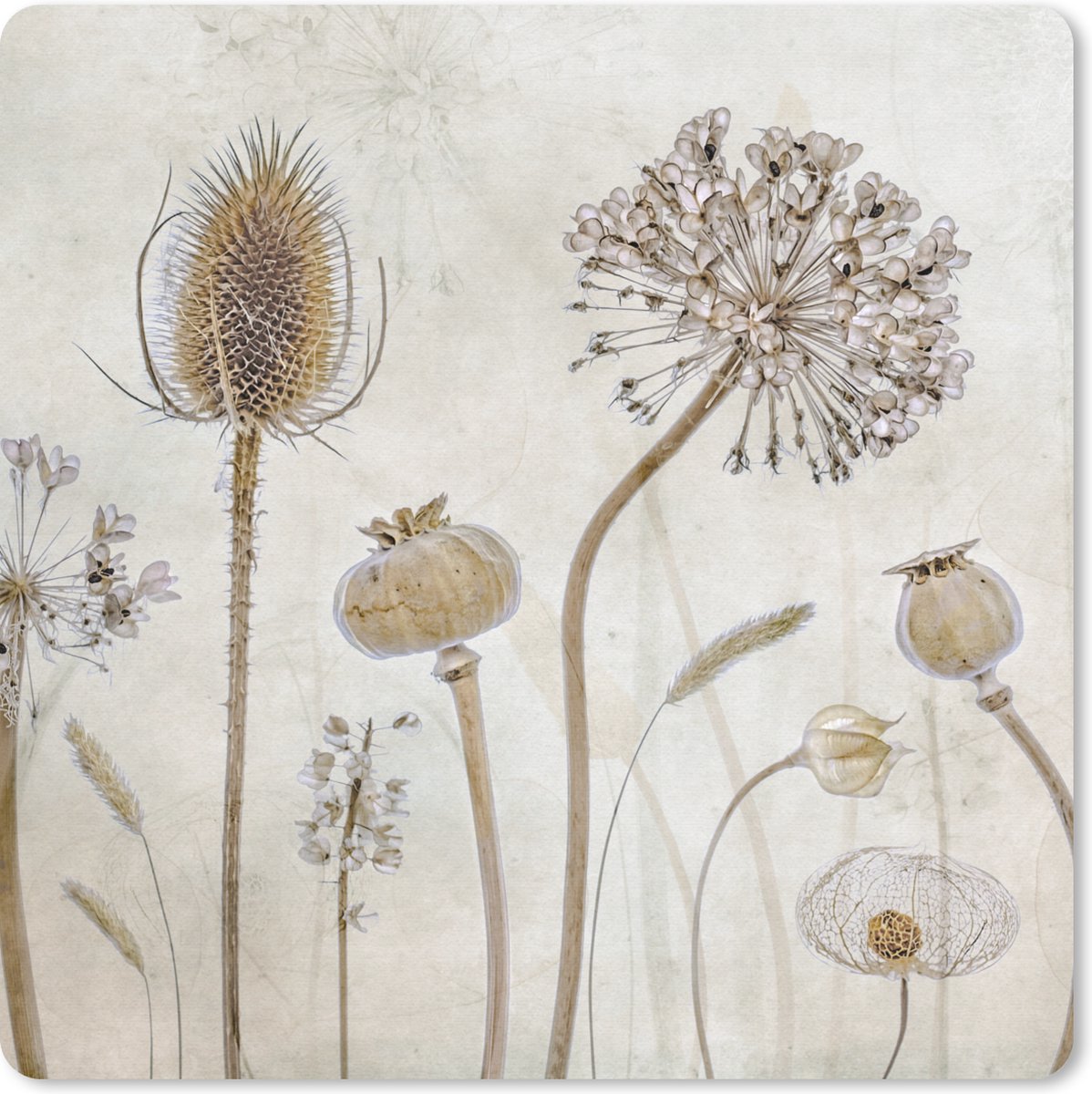 Muismat 30x30 cm - Mousepad Bloemen - Waterverf - Stilleven - Bruin - Vintage - Muismatten