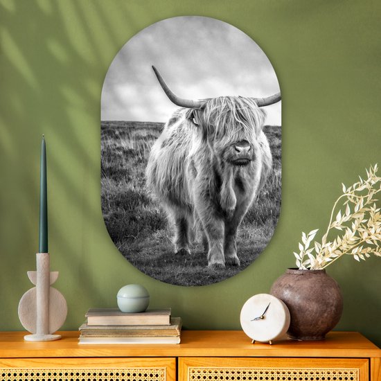 Miroir ovale mural - Décoration murale en plastique - Tableau ovale - Highlander écossais - Animaux - Nuages ​​- Vache - Nature - 60x90 cm - Miroir ovale sur plastique