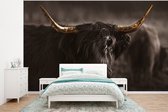 Behang - Fotobehang Schotse hooglander - Goud - Koebel - Hoorns - Dieren - Breedte 400 cm x hoogte 300 cm