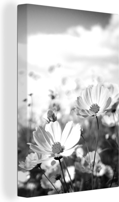 Canvas Schilderij Bloemen - Wei - Paars - Gras - Wit - Wolken - Blauw - 20x30 cm - Wanddecoratie