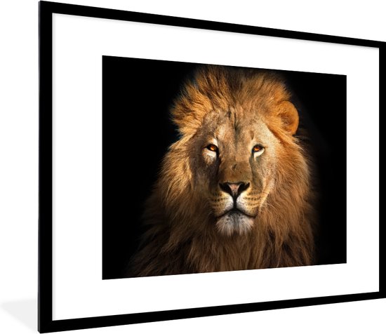 Fotolijst incl. Poster - Leeuw - Dieren - Zwart - Licht - Bruin - Portret - 80x60 cm - Posterlijst