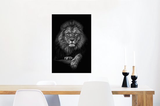 Affiche Lion - Animaux - Zwart - Wit - 40x60 cm