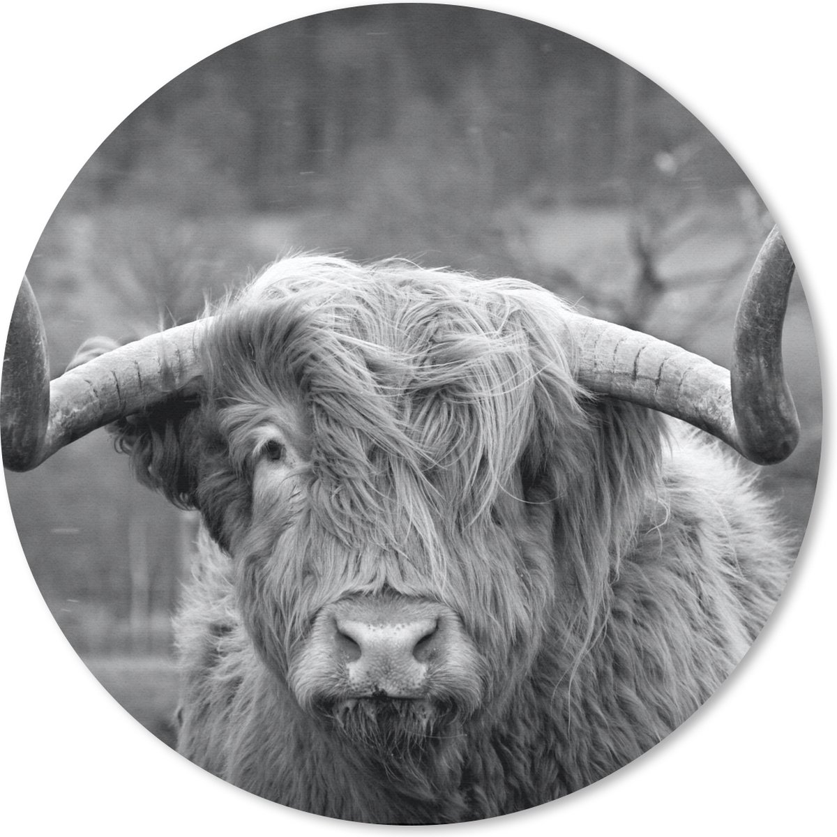 Muismat rond 30x30 cm - Mousepad Schotse Hooglander - Koeienkop - Landschap - Natuur - Koe - Ronde muismatten