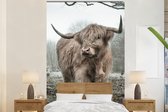 Behang - Fotobehang Schotse Hooglander - Bos - Mist - Koe - Dieren - Natuur - Breedte 180 cm x hoogte 280 cm