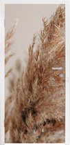 Deursticker Gras - Planten - Natuur - Pampasgras - 75x205 cm - Deurposter