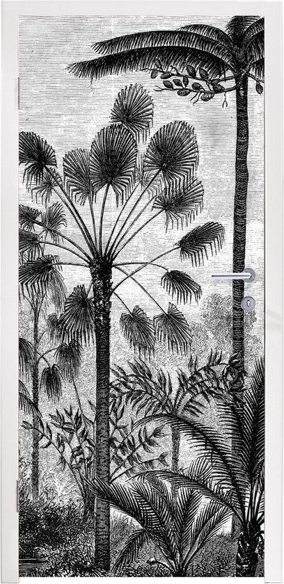 Deursticker Design - Bomen - Natuur - Planten - Botanisch - 75x205 cm - Deurposter