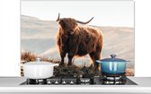 Spatscherm keuken 100x65 cm - Kookplaat achterwand Schotse hooglander - Dieren - Landelijk - Landschap - Koe - Natuur - Muurbeschermer - Spatwand fornuis - Hoogwaardig aluminium