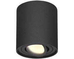 Dimbare LED Opbouwspot plafond Ray Zwart incl. GU10 spot 5W 2700K IP20 kantelbaar Rond