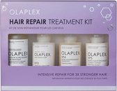 Hair Repair Treatment Kit Holiday Set - Coffret de soins en édition Limited