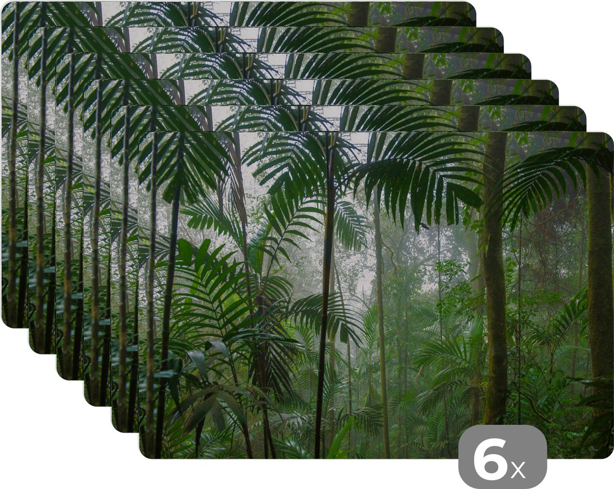 Placemat kinderen - Placemat - Placemats kunststof - Regenwoud - Tropisch - Jungle - Bomen - Planten - 45x30 cm - 6 stuks - Hittebestendig - Anti-Slip - Onderlegger - Afneembaar