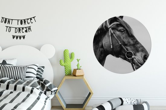 WallCircle - Wandcirkel ⌀ 90 - Paard - Halster - Portret - Ronde schilderijen woonkamer - Wandbord rond - Muurdecoratie cirkel - Kamer decoratie binnen - Wanddecoratie muurcirkel - Woonaccessoires