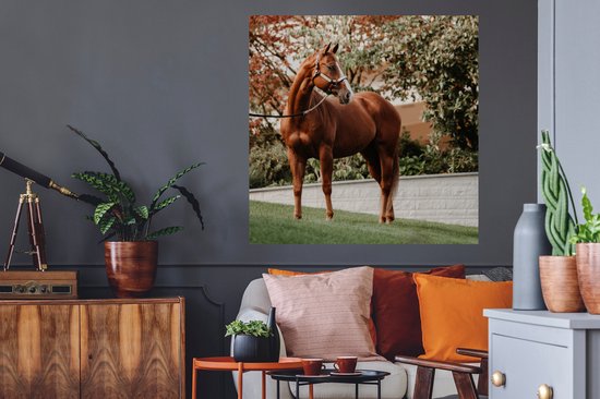 Stickers muraux - Cheval - Arbre - Licol - 100x100 cm - Feuille adhésive XXL